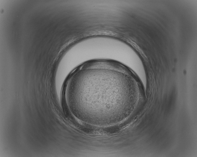 X0000085270207200703091400