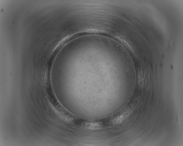 X0000085270208200703091400