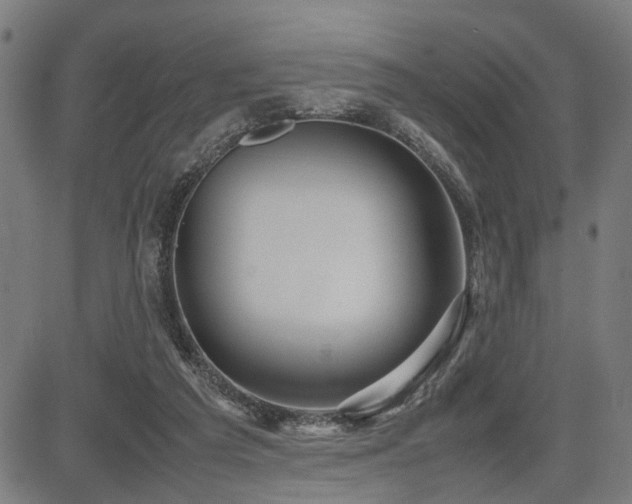 X0000085270209200703091400