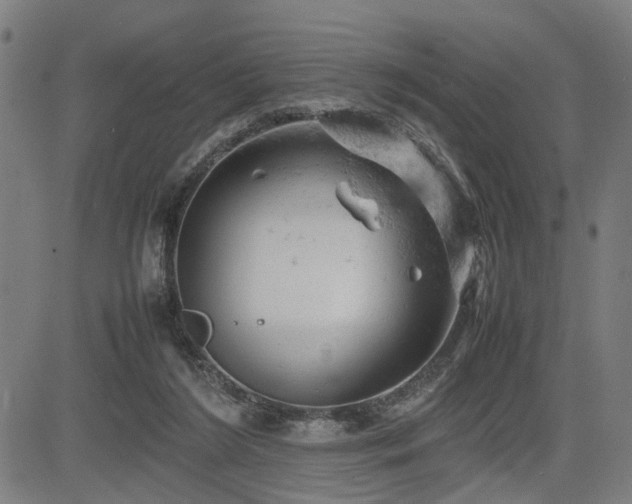 X0000085270212200703091400