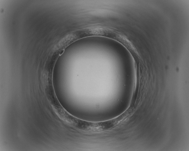 X0000085270213200703091400