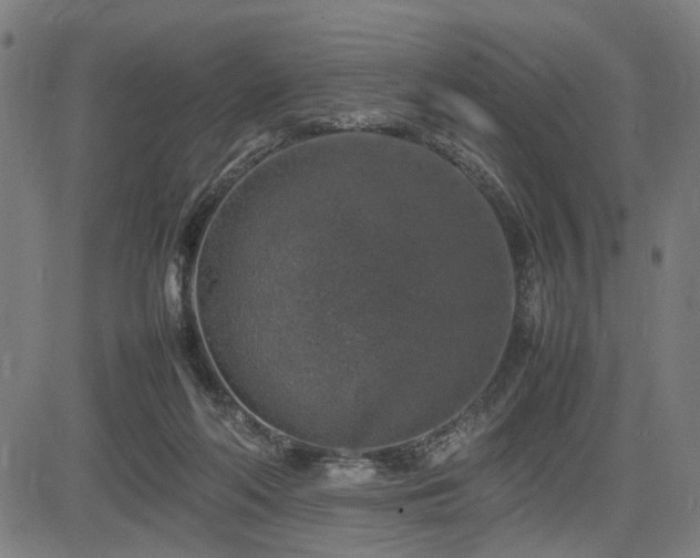 X0000085270214200703091400