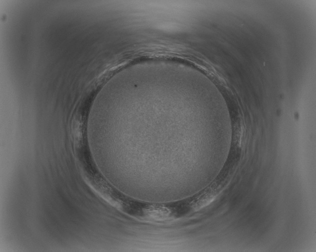 X0000085270215200703091400