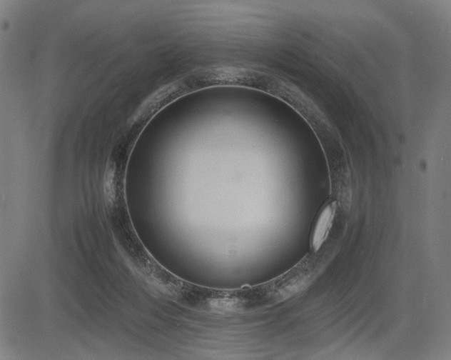 X0000085270216200703091400