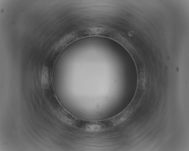 X0000085270220200703091400