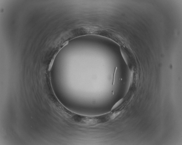 X0000085270221200703091400