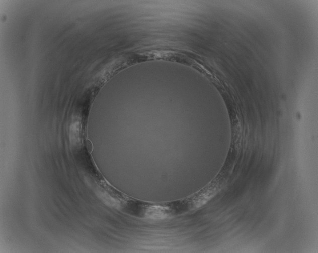 X0000085270222200703091400