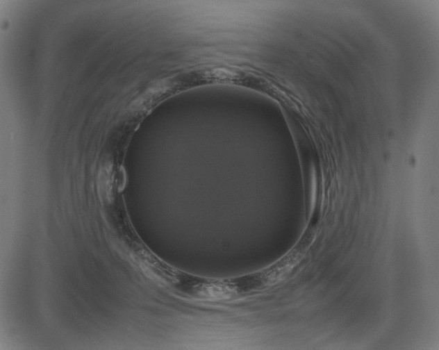 X0000085270223200703091400