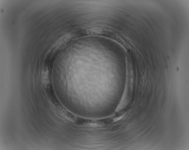 X0000085270224200703091400