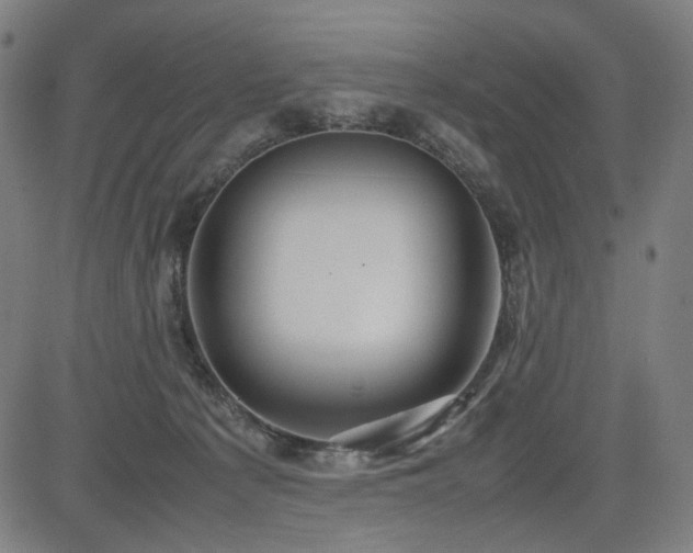 X0000085270225200703091400