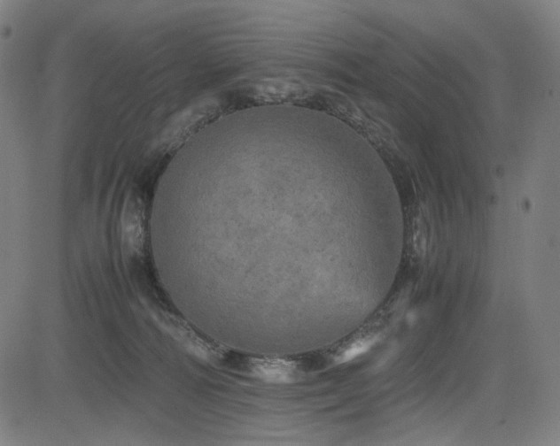 X0000085270226200703091400