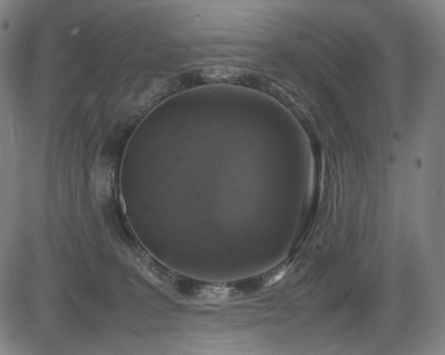 X0000085270227200703091400