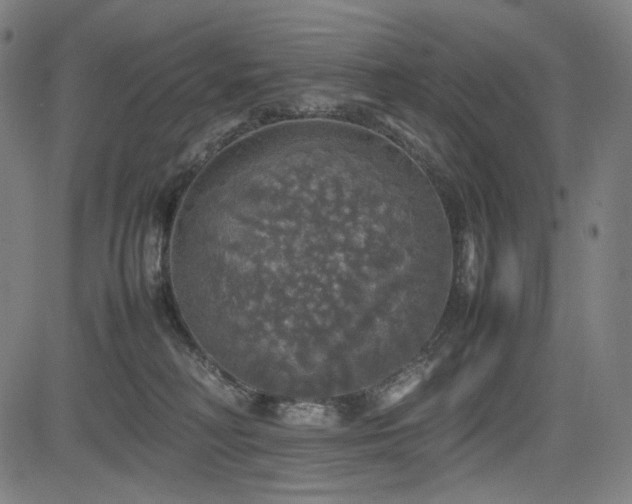 X0000085270230200703091400