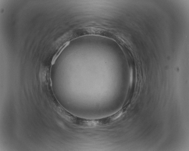 X0000085270233200703091400