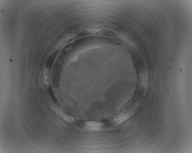 X0000085270234200703091400