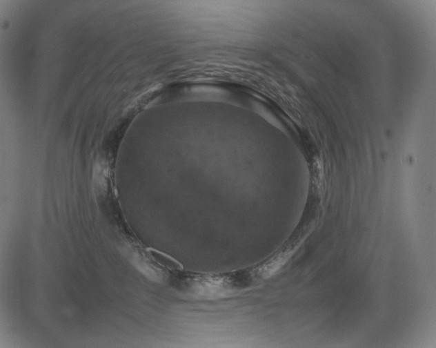 X0000085270235200703091400