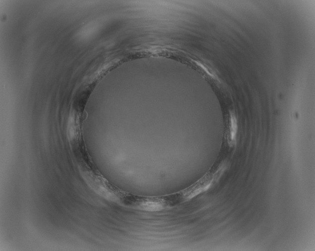 X0000085270236200703091400