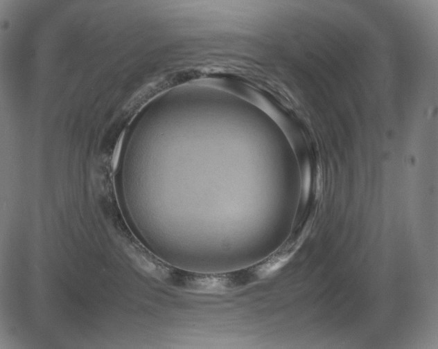 X0000085270237200703091400