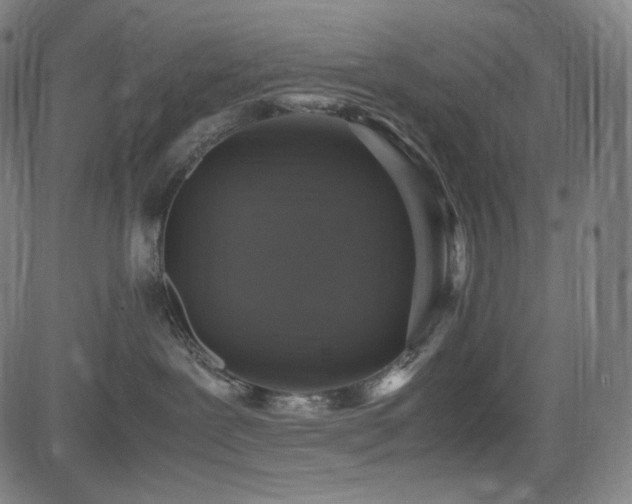 X0000085270239200703091400