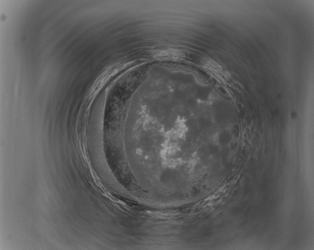 X0000085270241200703091359