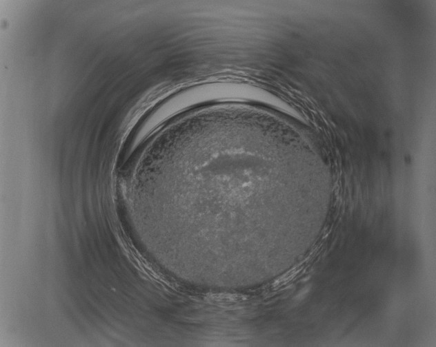 X0000085270242200703091359