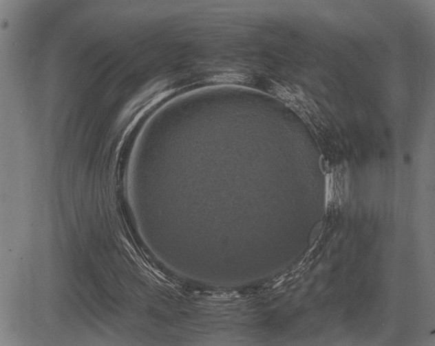 X0000085270243200703091359