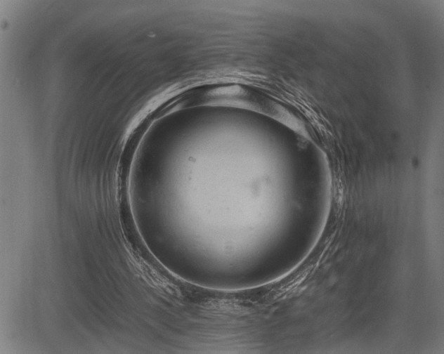 X0000085270244200703091359