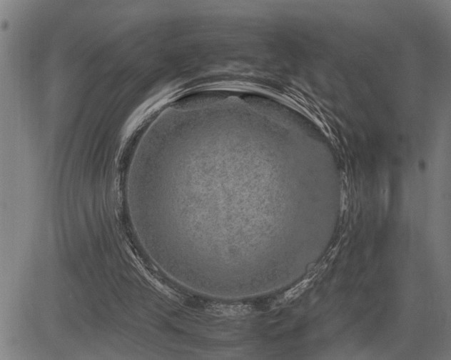 X0000085270245200703091359