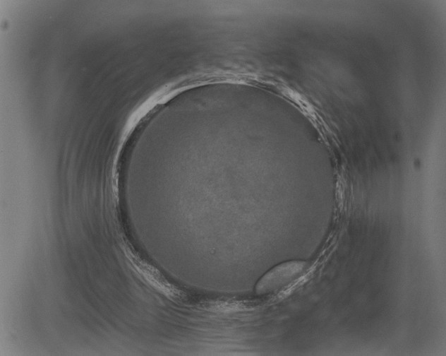 X0000085270246200703091359