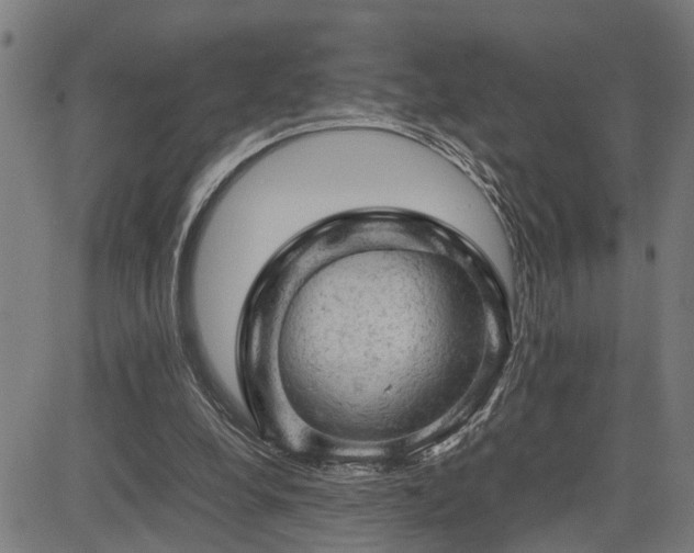 X0000085270248200703091359