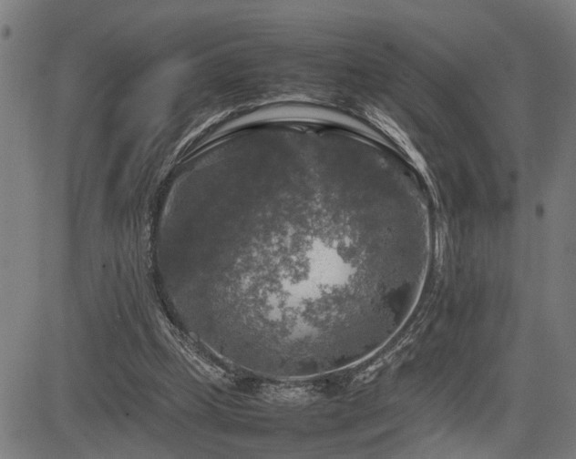 X0000085270249200703091359