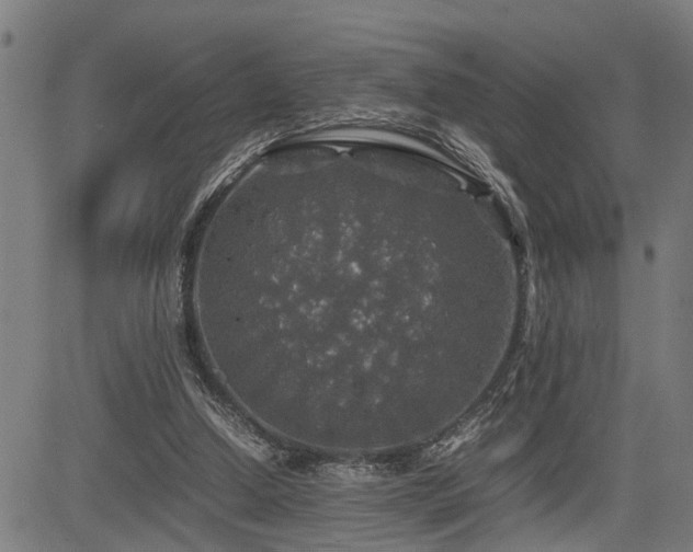 X0000085270250200703091359