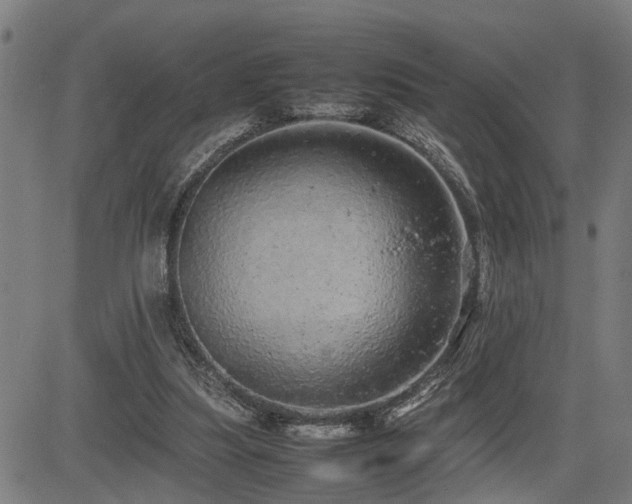 X0000085270251200703091359