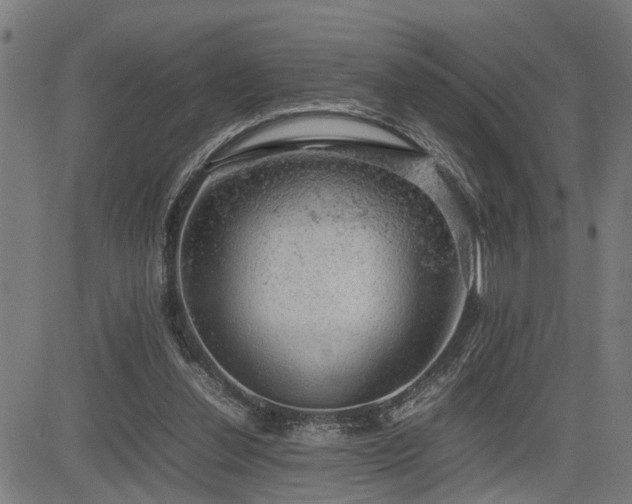 X0000085270252200703091359