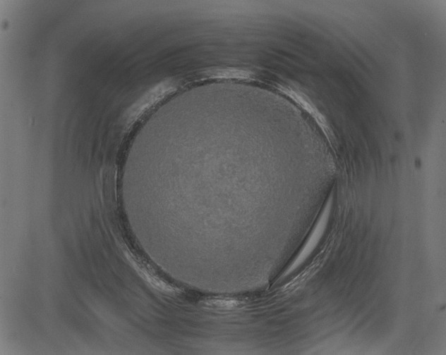 X0000085270253200703091359