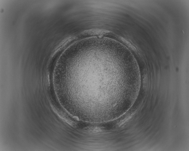 X0000085270254200703091359