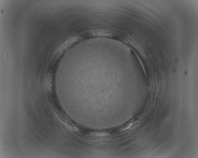 X0000085270255200703091359