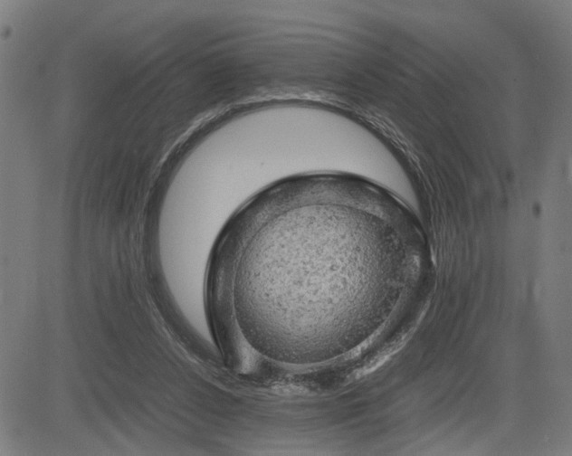 X0000085270256200703091359