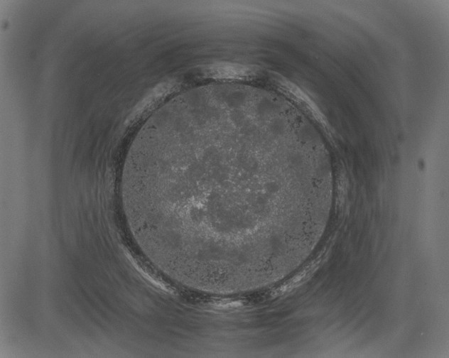 X0000085270257200703091359