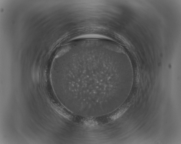 X0000085270258200703091359