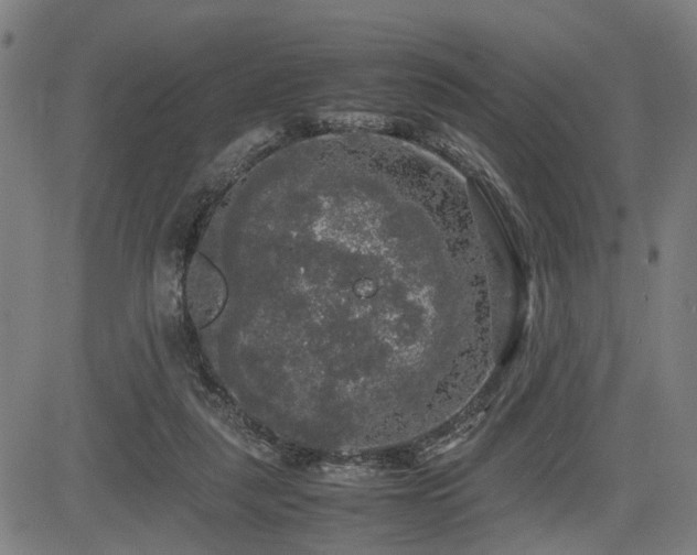 X0000085270259200703091359