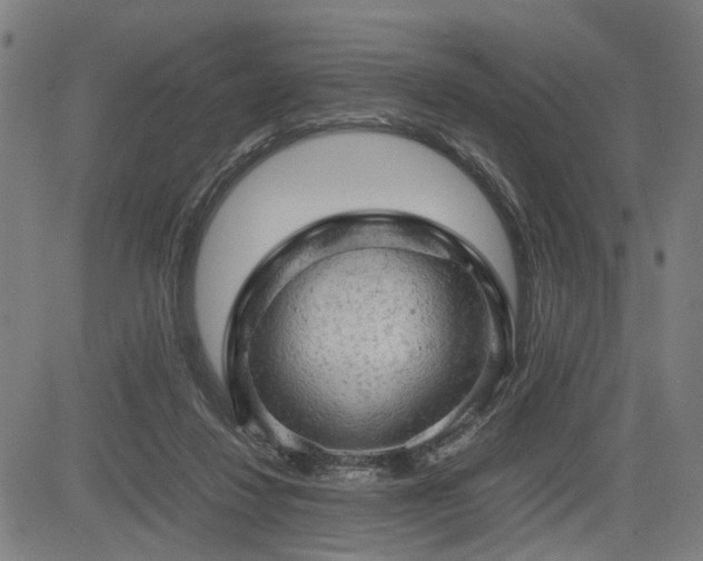 X0000085270260200703091359