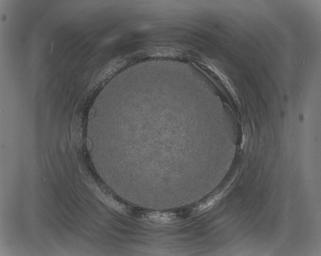 X0000085270261200703091359