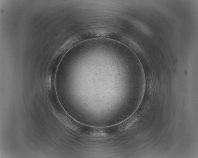 X0000085270262200703091359