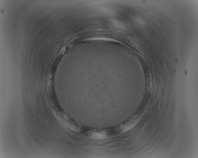 X0000085270263200703091359