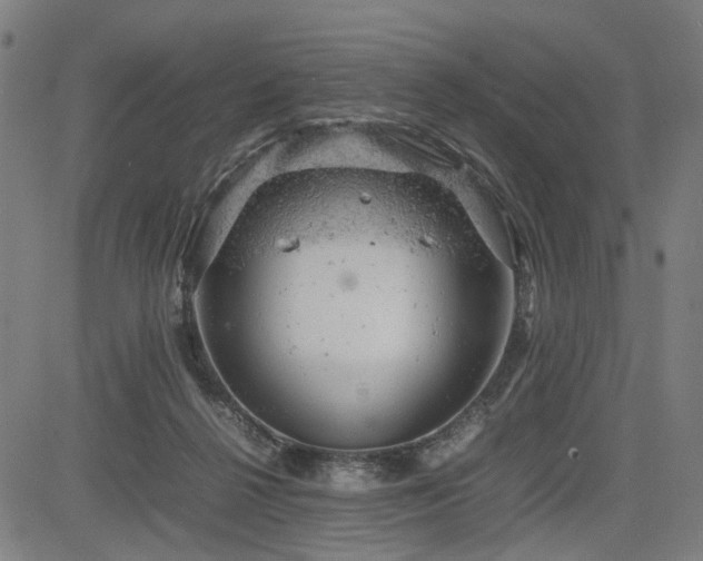 X0000085270264200703091359