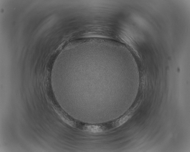 X0000085270265200703091359