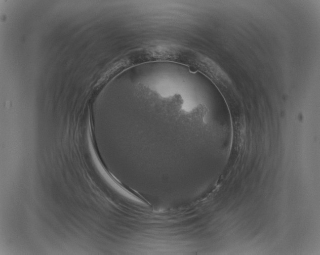 X0000085270266200703091359