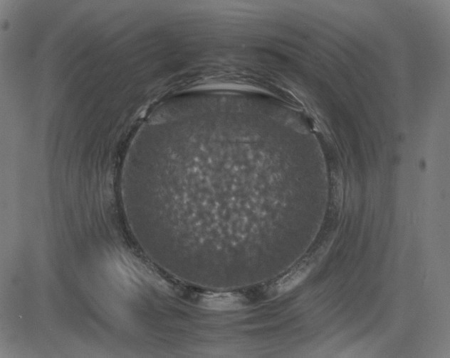 X0000085270269200703091359