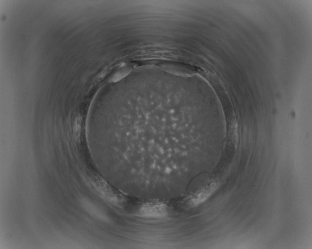 X0000085270271200703091359